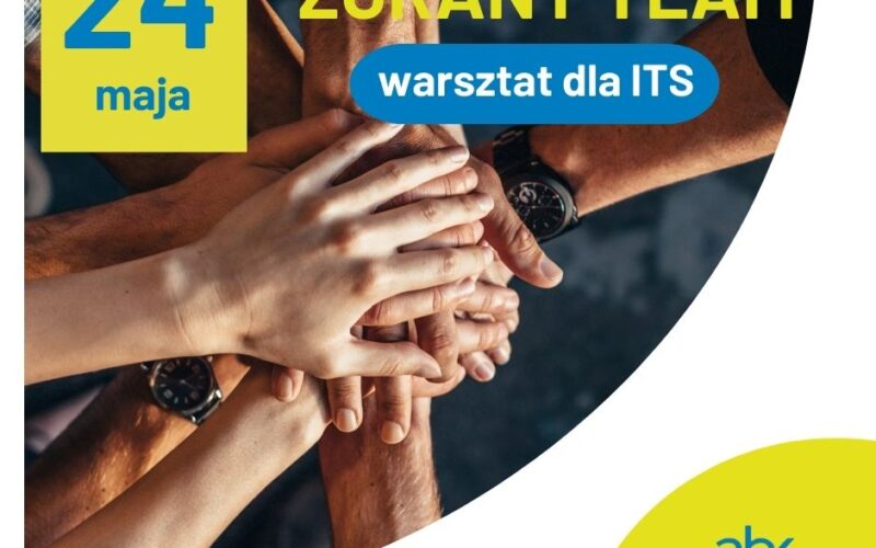 Warsztat dla ITS – Zgrany team