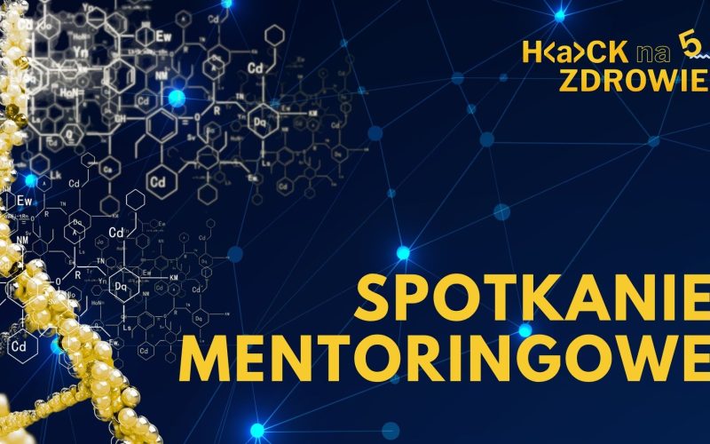 Spotkanie mentoringowe – Zespół Overfitters